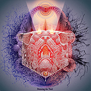 Forming the Void 'Reverie'