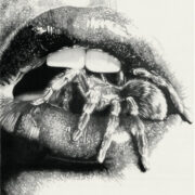 Masheena 'Let The Spiders In'